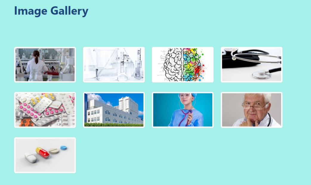 A web page with an image gallery block.
